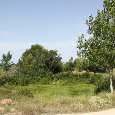 Celebrat el IV Testing de Biodiversitat de les Terres de l’Ebre.