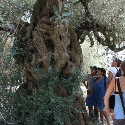 Celebrat el IV Testing de Biodiversitat de les Terres de l’Ebre.