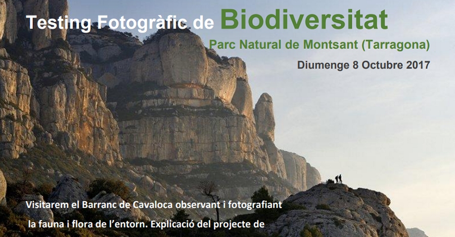 Testing Fotogrfic de Biodiversitat al Parc Natural de la Serra de Montsant