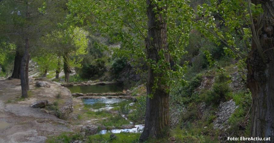 Tivissa acull aquest diumenge el 54 Dia del Cam de Muntanya de la IV Vegueria | EbreActiu.cat, revista digital d’oci actiu | Terres de l’Ebre ...