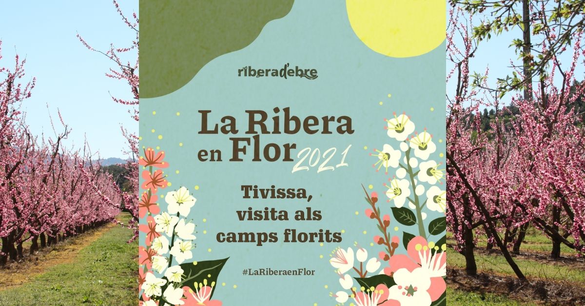 Tivissa, visita als camps florits #LaRiberaenFlor