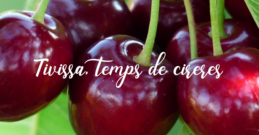 Tivissa Tiempo de cerezas