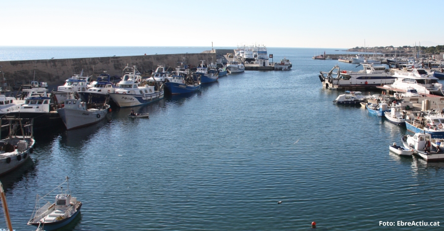 La tonyina roja artesanal comptar amb una marca prpia | EbreActiu.cat, revista digital d’oci actiu | Terres de l’Ebre ...