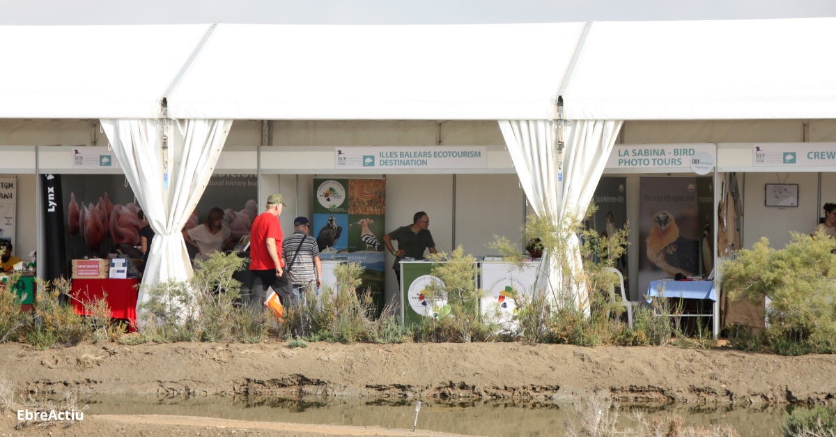 Torna el Delta Birding Festival | EbreActiu.cat, revista digital d’oci actiu | Terres de l’Ebre ...