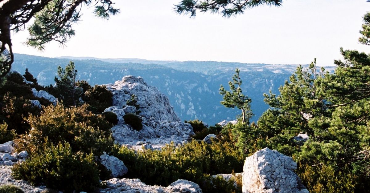 Tortosa planifica la gesti forestal dels terrenys municipals situats al masss del Port durant els prxims quinze anys | EbreActiu.cat, revista digital d’oci actiu | Terres de l’Ebre ...