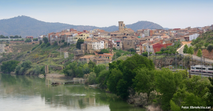 Tot a punt per celebrar la II Festa de l’Oli de Ginebre | EbreActiu.cat, revista digital d’oci actiu | Terres de l’Ebre ...