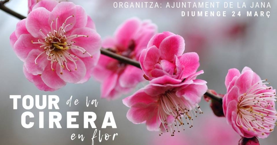 Tour de la Cirera en Flor a La Jana