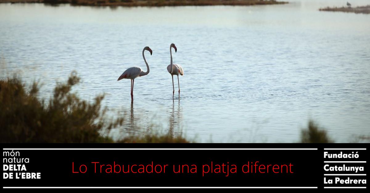 Salida: El Trabucador, una playa diferente