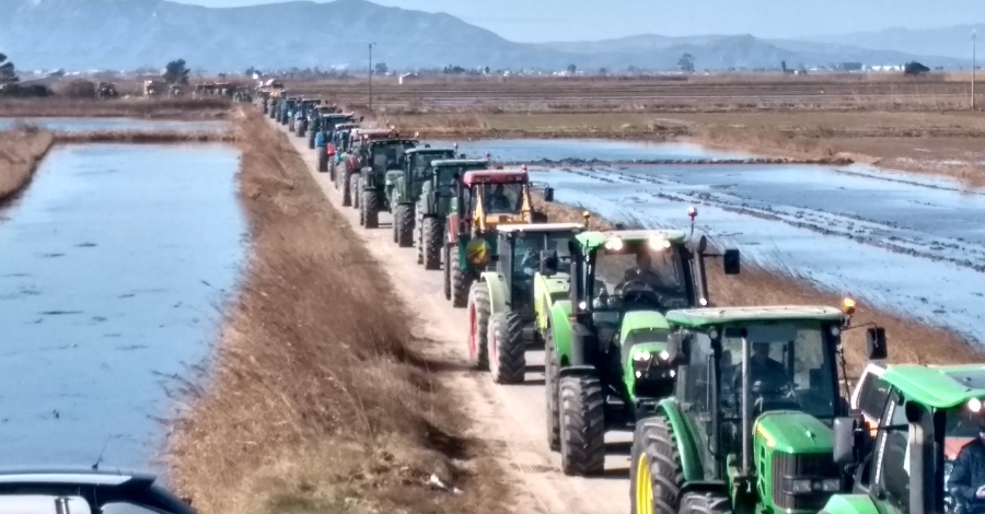 Ms de 200 tractors convocats per Uni de Pagesos es manifesten a Deltebre en defensa del Delta  | EbreActiu.cat, revista digital d’oci actiu | Terres de l’Ebre ...