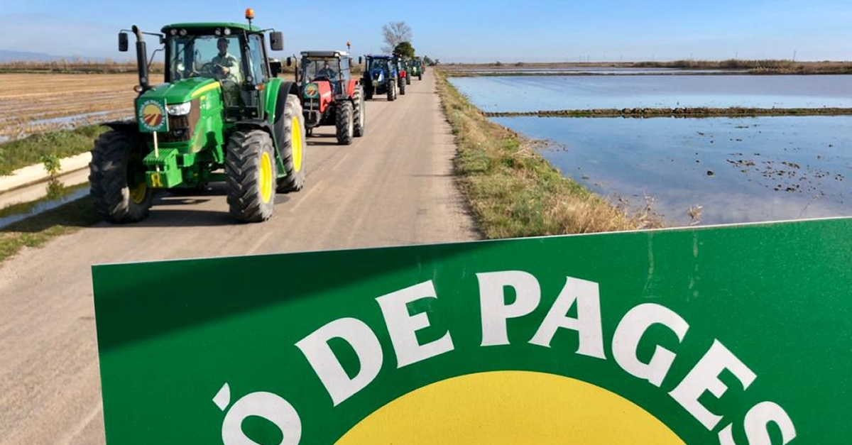 Una dotzena de tractorades reclamaran dilluns 21 de desembre mesures urgents per a la pagesia | EbreActiu.cat, revista digital d’oci actiu | Terres de l’Ebre ...