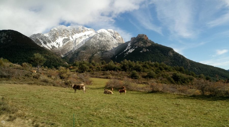 La Trans Pedraforca en BTT | EbreActiu.cat, revista digital d’oci actiu | Terres de l’Ebre ...