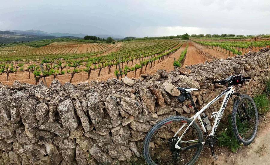 GUIES BTT - TRANS TERRA ALTA | EbreActiu.cat, revista digital de ocio activo | Terres de l’Ebre...