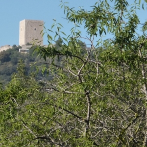 lbum: Travessa de la serra de Godall