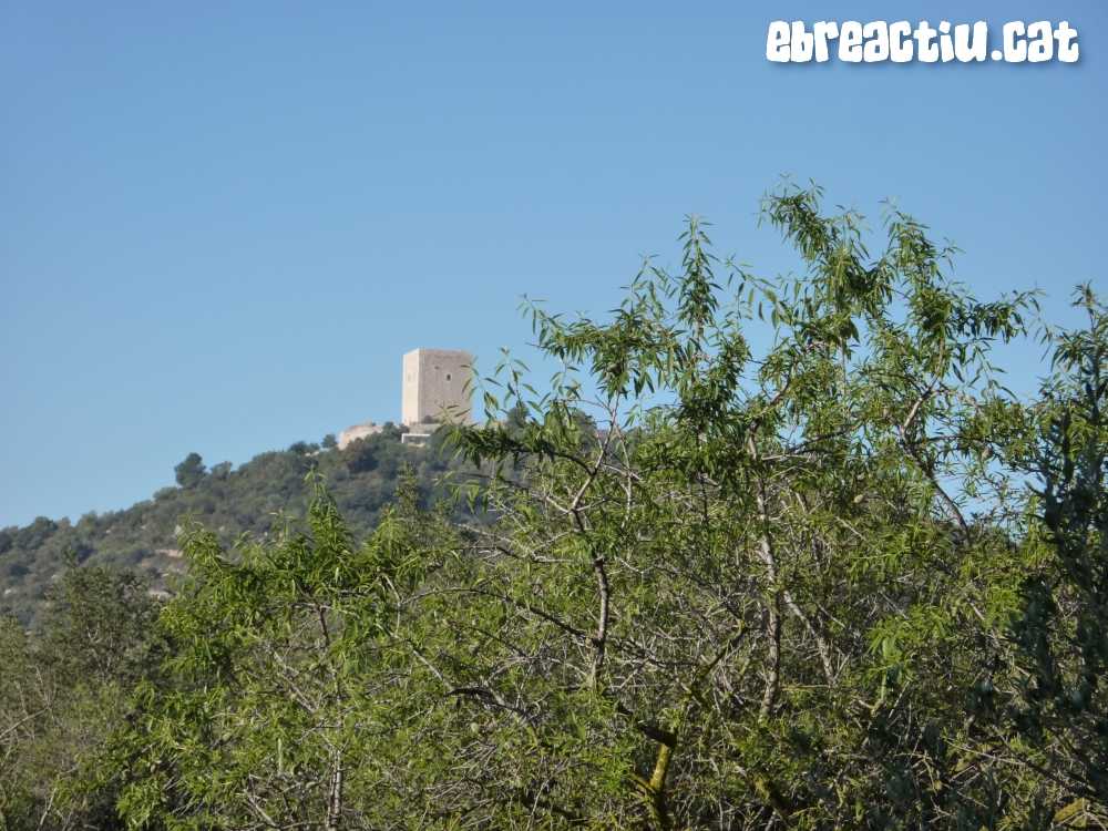 Travessa de la serra de Godall (SO-NE): d’Ulldecona al Cam Vell | EbreActiu.cat, revista digital d’oci actiu | Terres de l’Ebre ...