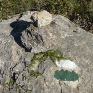 lbum: Travessa de la serra de Godall