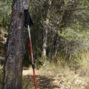 lbum: Travessa de la serra de Godall