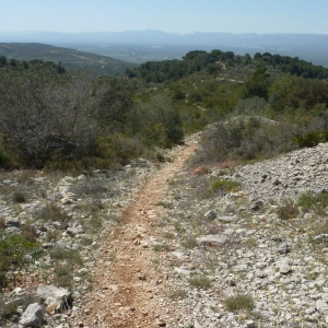 lbum: Travessa de la serra de Godall