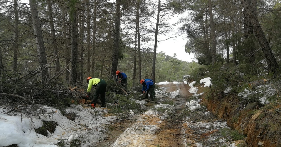 El Parc Natural dels Ports impulsa actuacions urgents per reparar danys del temporal Gloria | EbreActiu.cat, revista digital d’oci actiu | Terres de l’Ebre ...