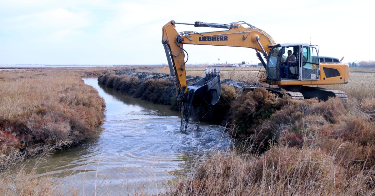 La Generalitat de Catalunya destina recursos per continuar els treballs en contra de la regressi al delta de l’Ebre | EbreActiu.cat, revista digital d’oci actiu | Terres de l’Ebre ...