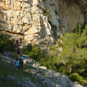 lbum: marxa de muntanya Trencacims de Pals 2014