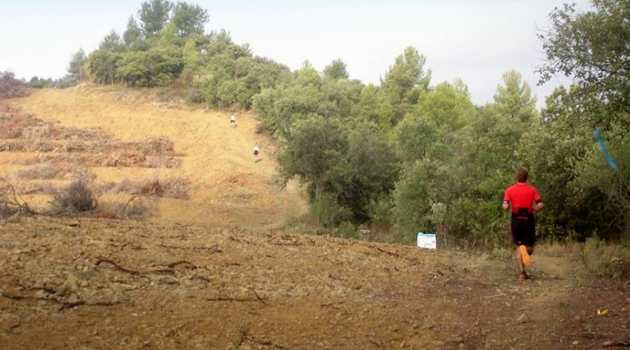 Gratallops celebra la seua cursa per muntanya | EbreActiu.cat, revista digital d’oci actiu | Terres de l’Ebre ...