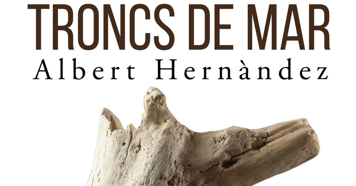 Exposicin Troncs de mar de Albert Hernndez