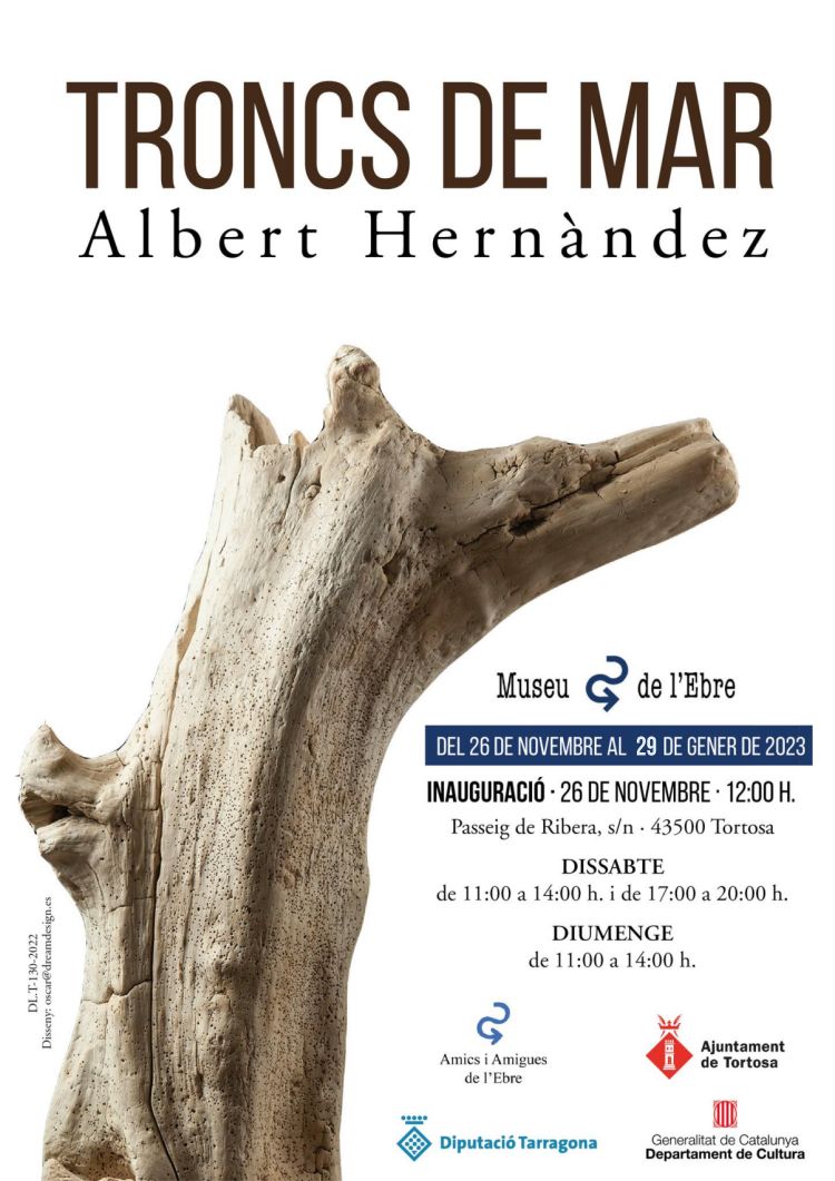 Exposici Troncs de mar dAlbert Hernndez