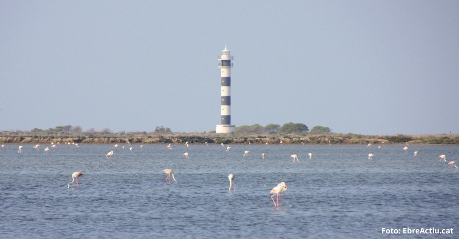 ltima fase del Land Sea | EbreActiu.cat, revista digital d’oci actiu | Terres de l’Ebre ...