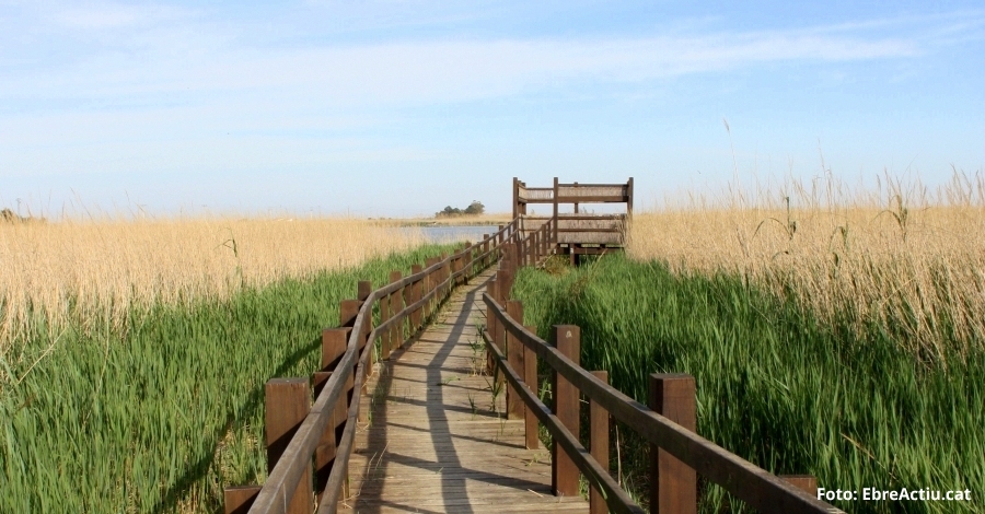 ltima fase del Land Sea | EbreActiu.cat, revista digital d’oci actiu | Terres de l’Ebre ...