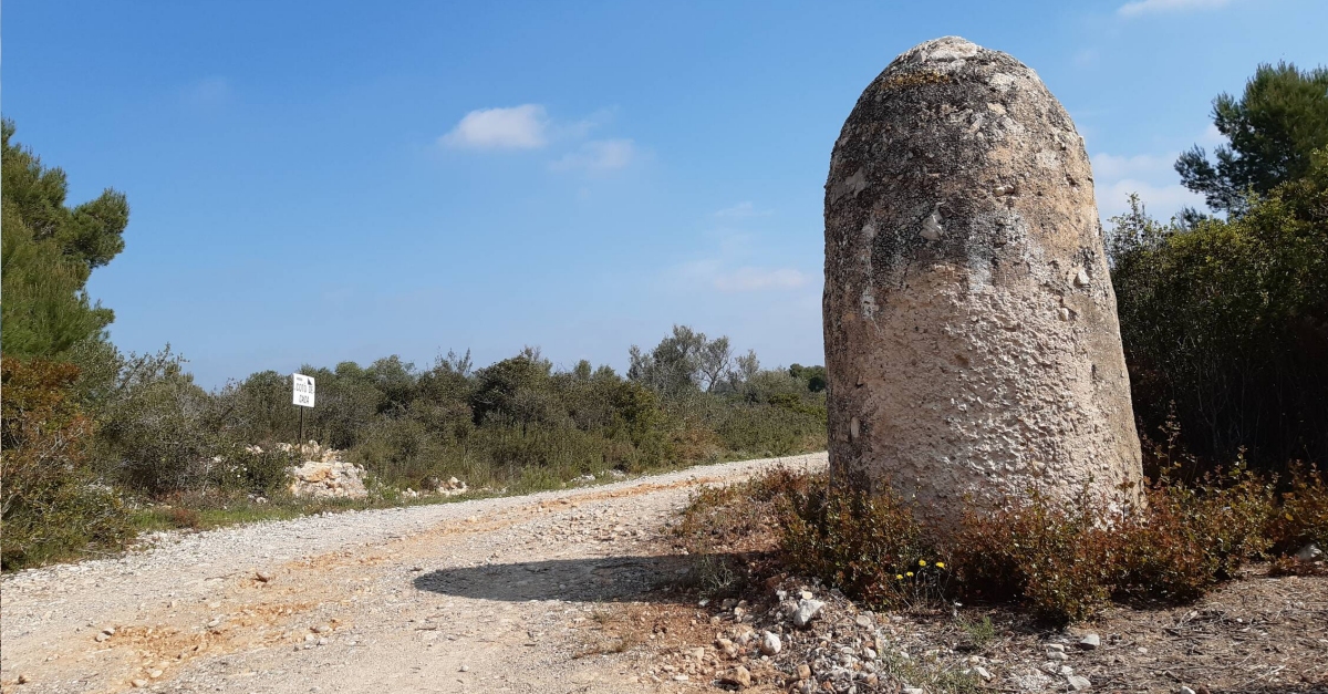 Una Ruta dels Mollons i Forns de Cal per a descobrir el terme de Benicarl | EbreActiu.cat, revista digital d’oci actiu | Terres de l’Ebre ...