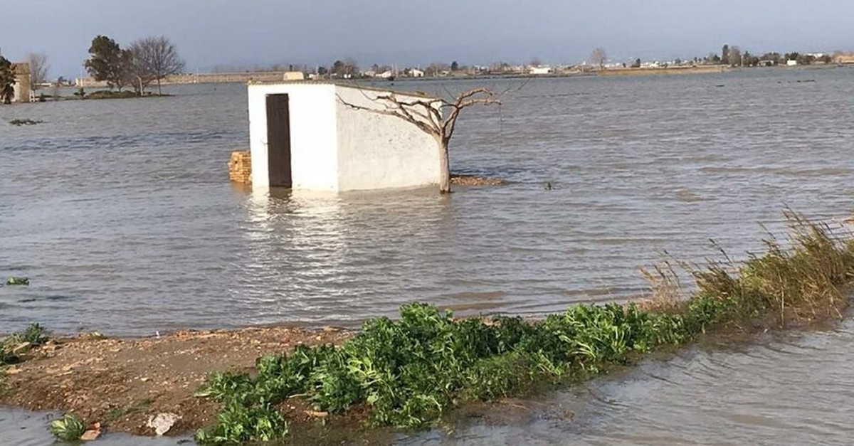 Un any desprs del Gloria: s’accelera l’agonia del delta de l’Ebre davant la passivitat de les administracions | EbreActiu.cat, revista digital d’oci actiu | Terres de l’Ebre ...