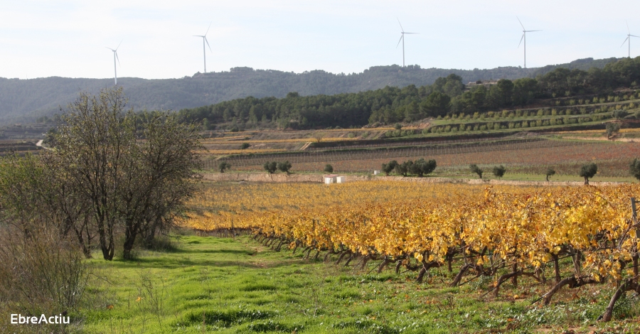 Uni de Pagesos reitera la seva oposici a la massificaci dels equipaments d’energia elica i fotovoltaica a la Terra Alta i a la Ribera d’Ebre | EbreActiu.cat, revista digital d’oci actiu | Terres de l’Ebre ...