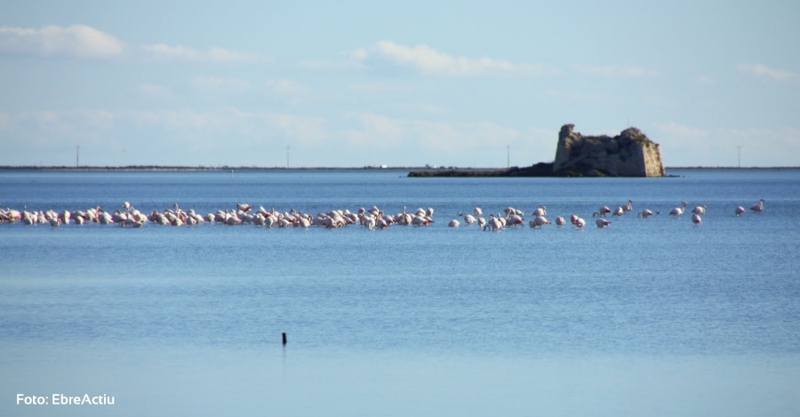 Un projecte de la URV analitza el paisatge del delta de l’Ebre travs d’informaci geogrfica voluntria | EbreActiu.cat, revista digital d’oci actiu | Terres de l’Ebre ...