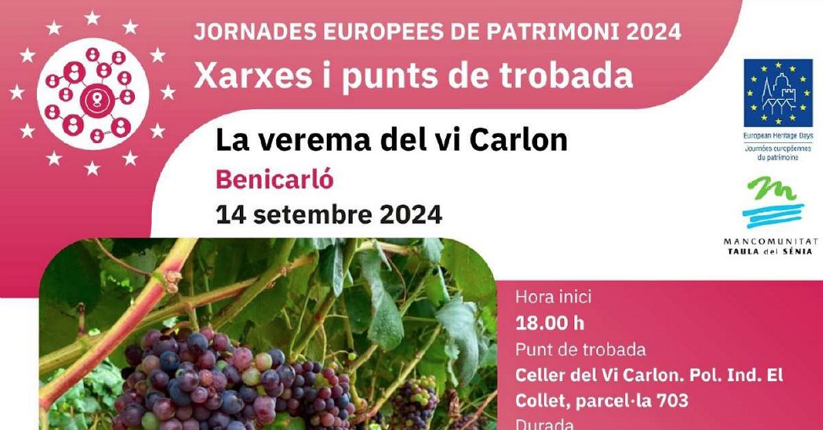 Visita guiada La vendmia del Vino Carlon