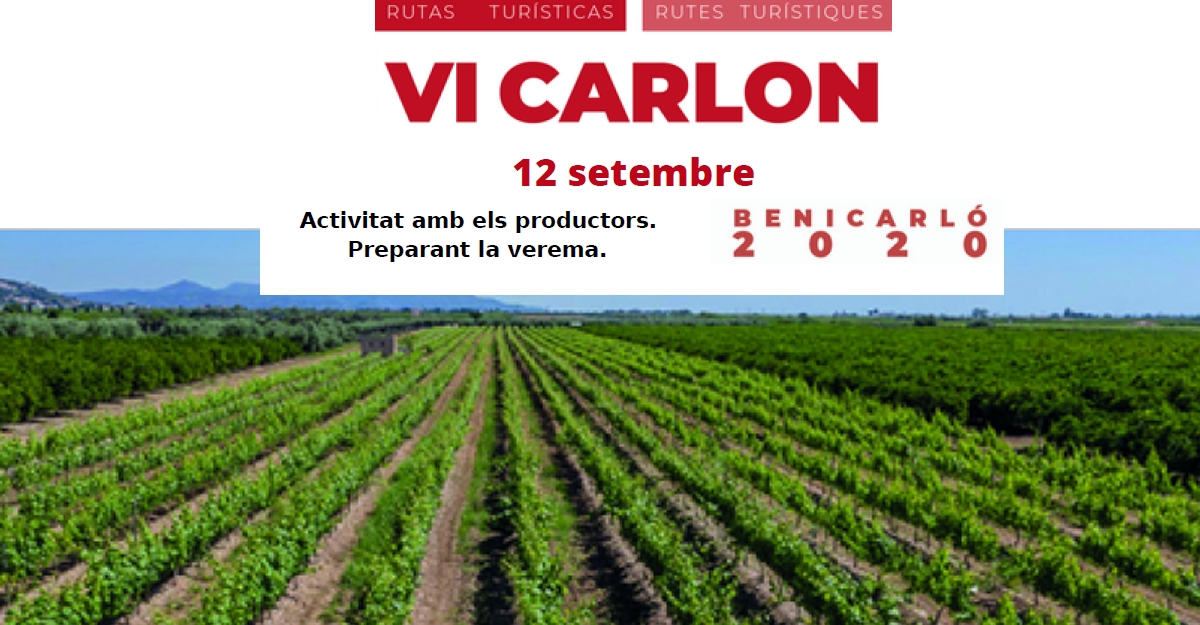 VI CARLON: Activitat amb els productors. Preparant la verema