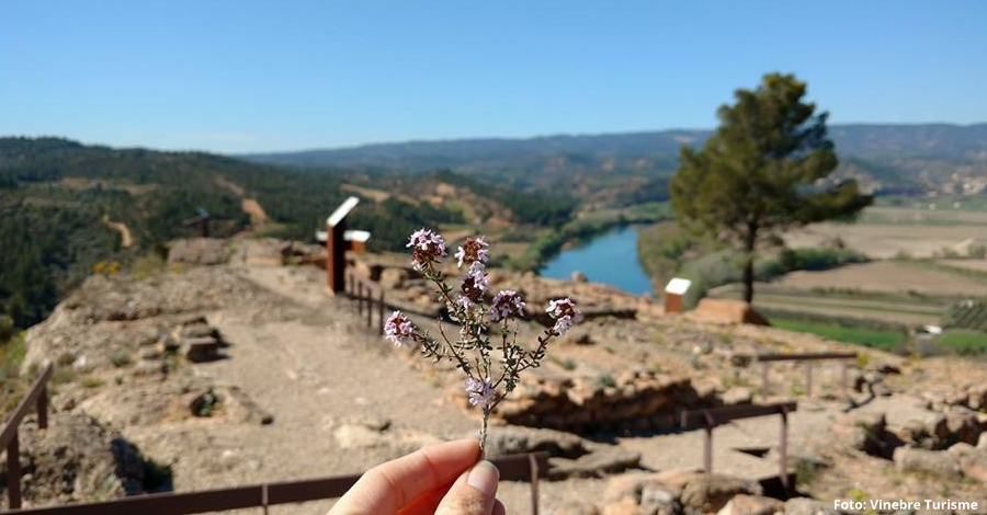 Vinebre organitza la Ruta de les Ermites | EbreActiu.cat, revista digital d’oci actiu | Terres de l’Ebre ...