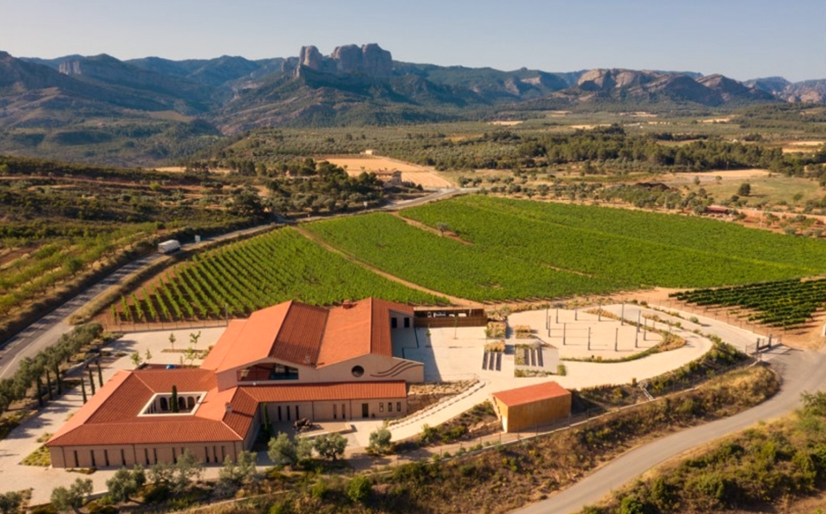 Bodega Les Vinyes del Convent | EbreActiu.cat, revista digital de ocio activo | Terres de l’Ebre...