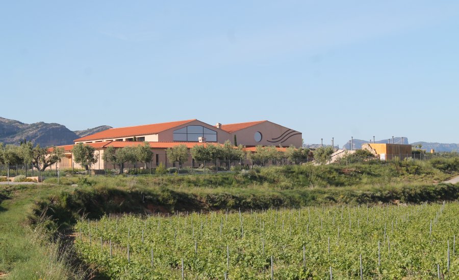 Bodega Les Vinyes del Convent | EbreActiu.cat, revista digital de ocio activo | Terres de l’Ebre...