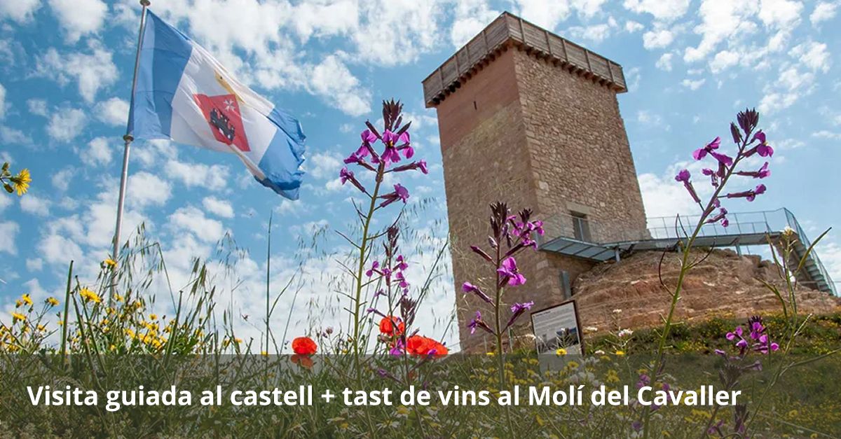 Visita guiada al castell + tast de vins al Mol del Cavaller