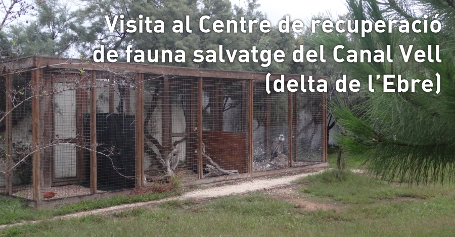 Visita al Centre de recuperaci de fauna salvatge del Canal Vell (delta de l'Ebre)