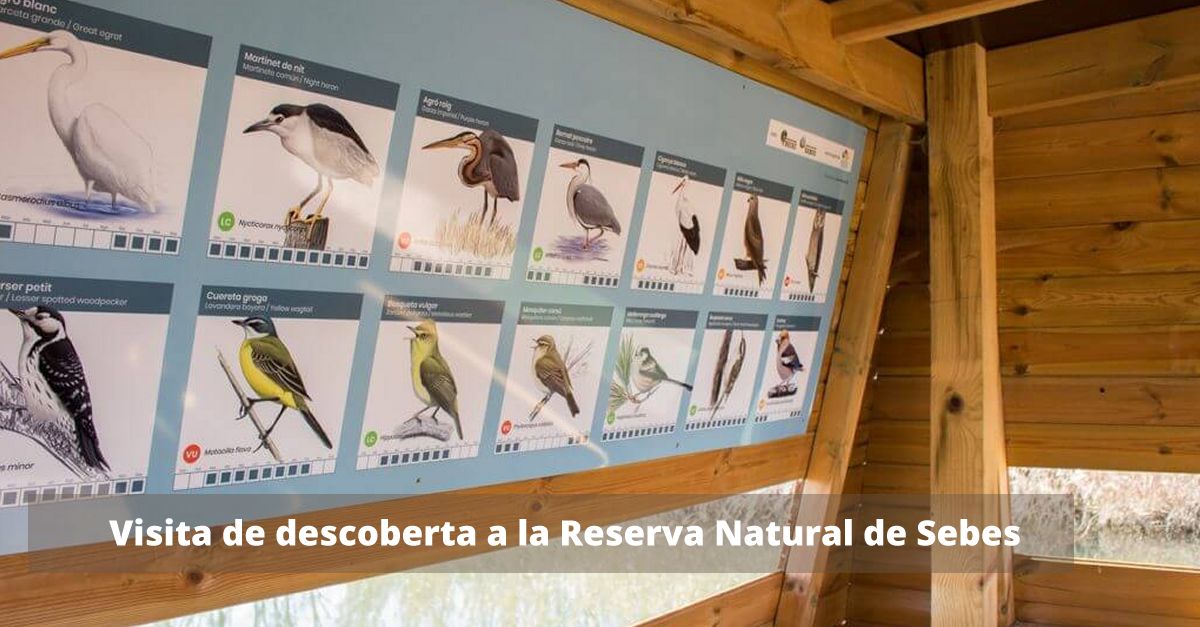 Visita de descoberta a la Reserva Natural de Sebes