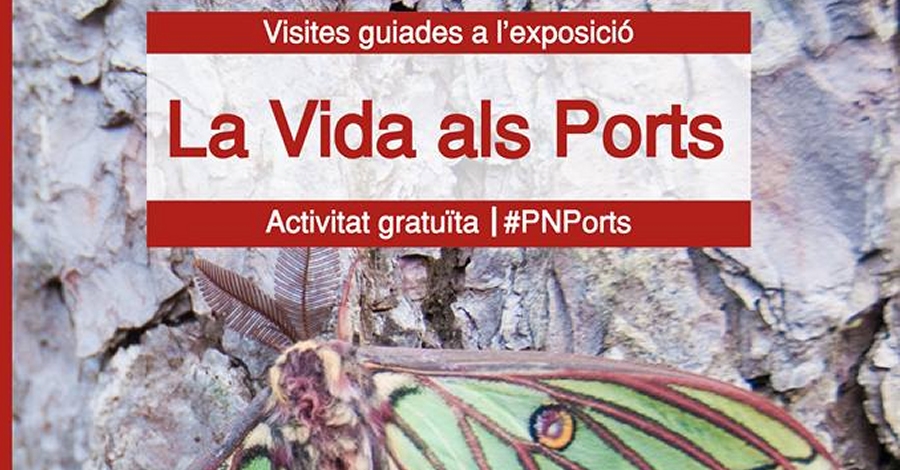 Visita guiada a lexposici La Vida als Ports