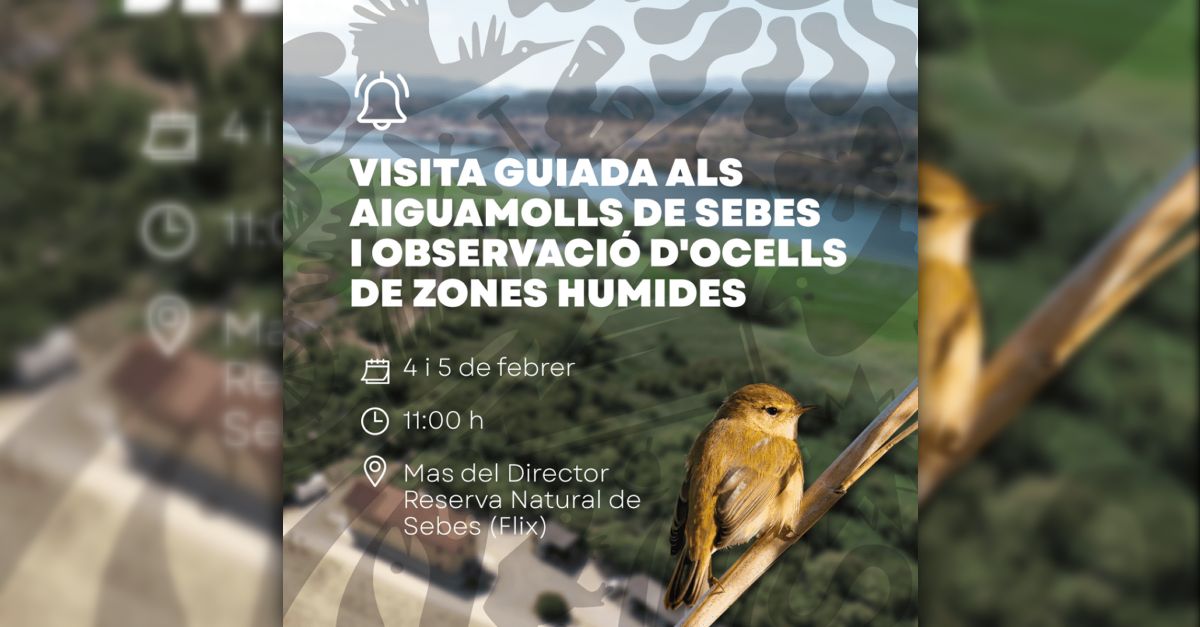 Visita guiada als aiguamolls de Sebes i observaci docells de zones humides