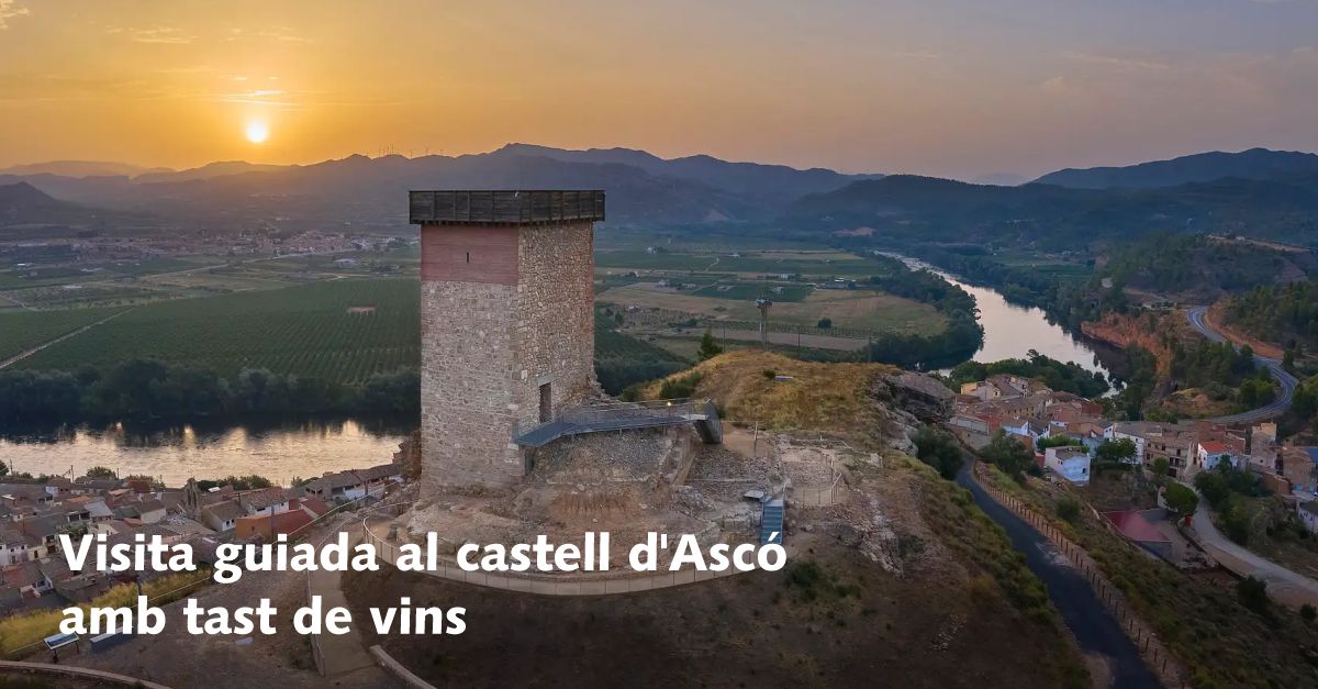 Visita guiada al Castillo de Asc con cata de vinos