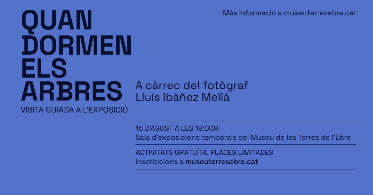 Visita guiada a la exposicin Quan dormen els arbres