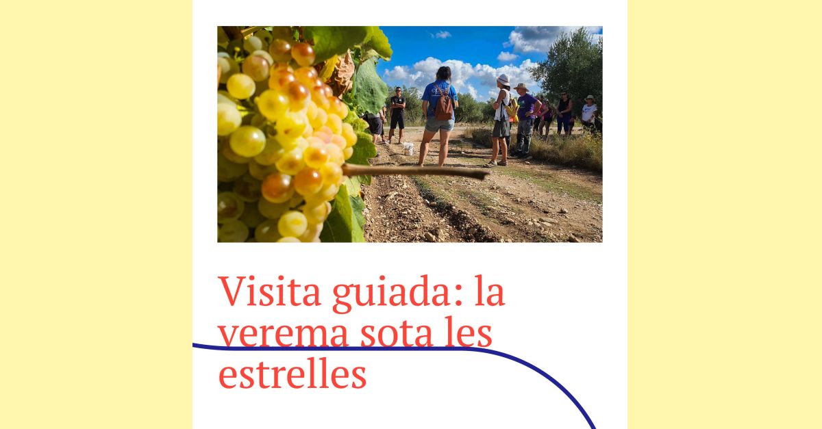 Visita guiada: La verema sota les estrelles