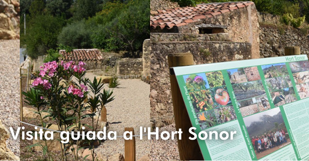 Visita guiada a lHort Sonor