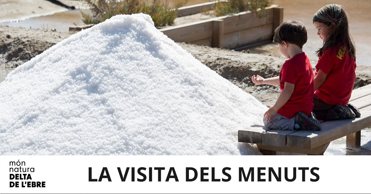 La visita dels menuts: Descubre la esencia del Delta en familia