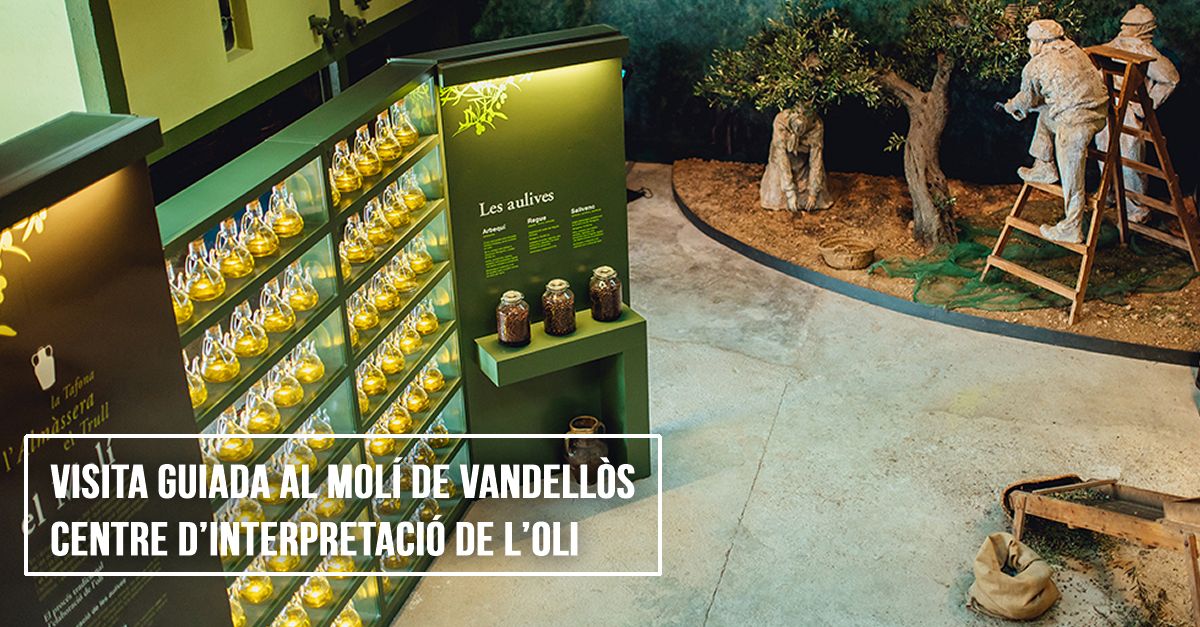 Visita guiada al Molino de Vandells. Centro de Interpretacin del Aceite Navidad 23