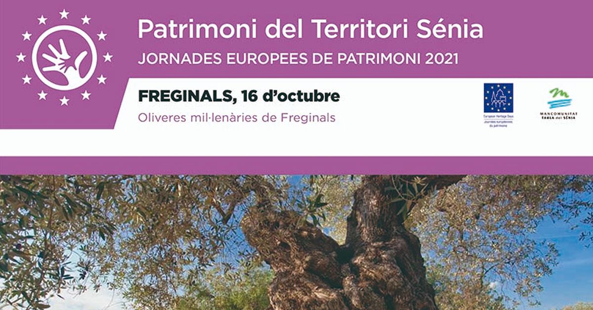 Patrimonio Territorio Snia: Visita a los olivos milenarios de Freginals